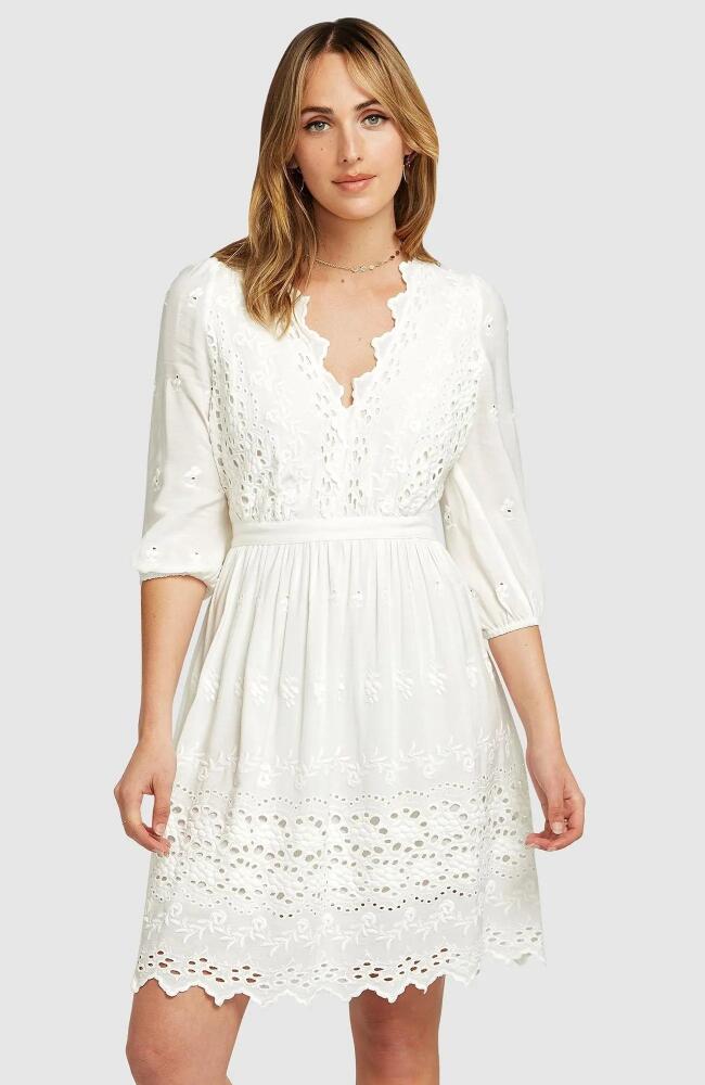 Belle & Bloom Sweet Talk Eyelet Mini Dress in White Cover