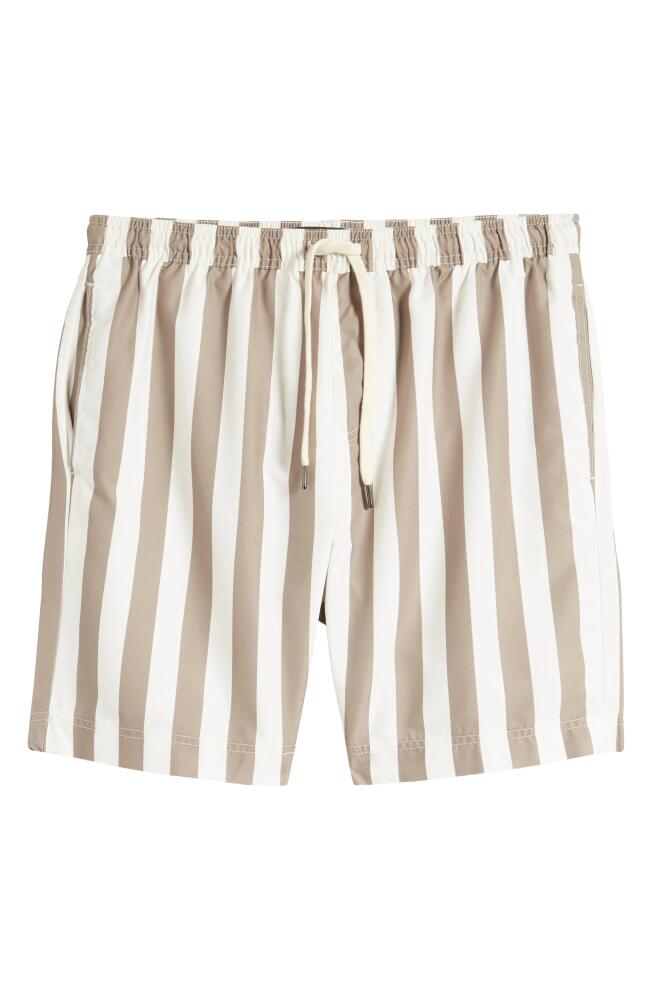 Nordstrom 8-Inch Classic Swim Trunks in Tan Desert Resort Stripe Cover