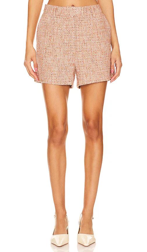 Steve Madden Imelda Short in Rose Cover