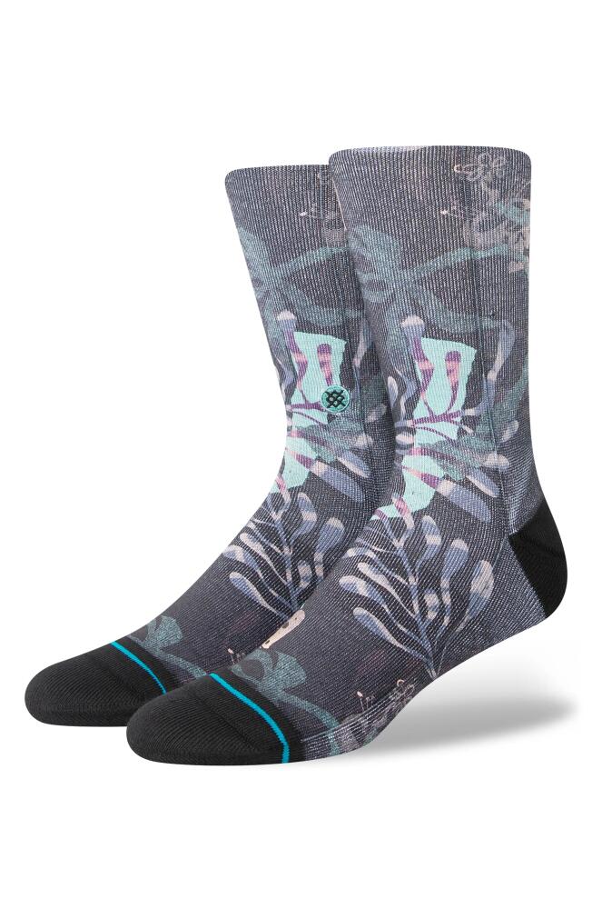 Stance Trooms Mushroom Print Socks in Black Cover