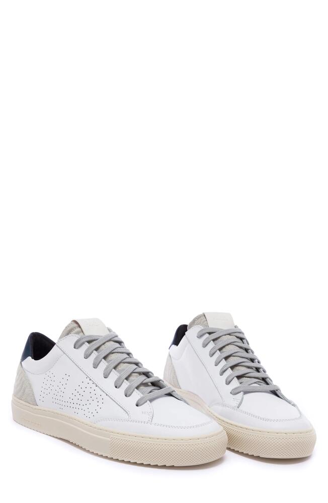 P448 Sohora Sneaker in Japan Mesh Cover