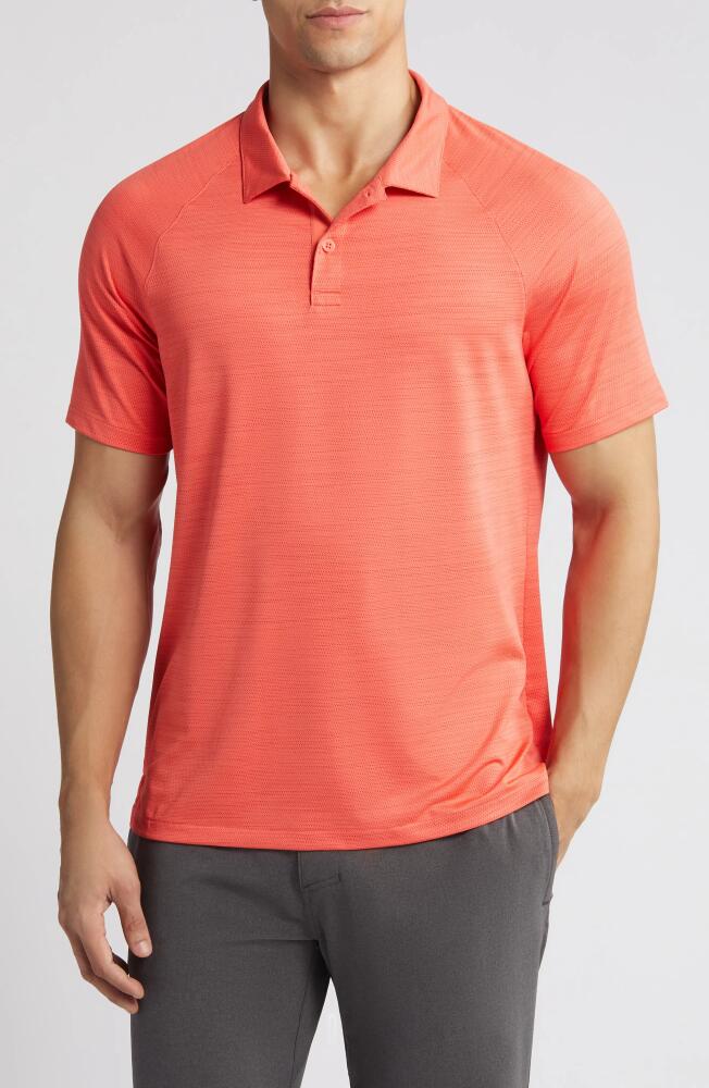 zella Chip Performance Golf Polo in Red Cayenne Cover