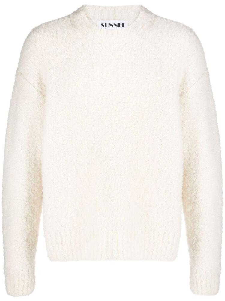 Sunnei crew-neck chunky-knit jumper - Neutrals Cover