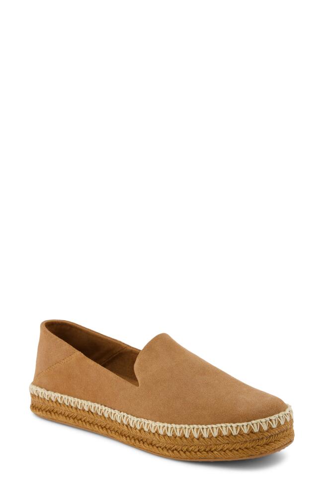 TOMS Carolina Platform Espadrille Sneaker in Brown Cover