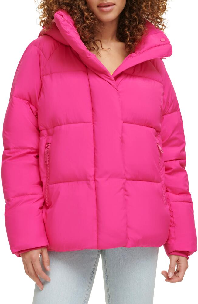 levi's Hooded Puffer Jacket in Pink Peacock Cover