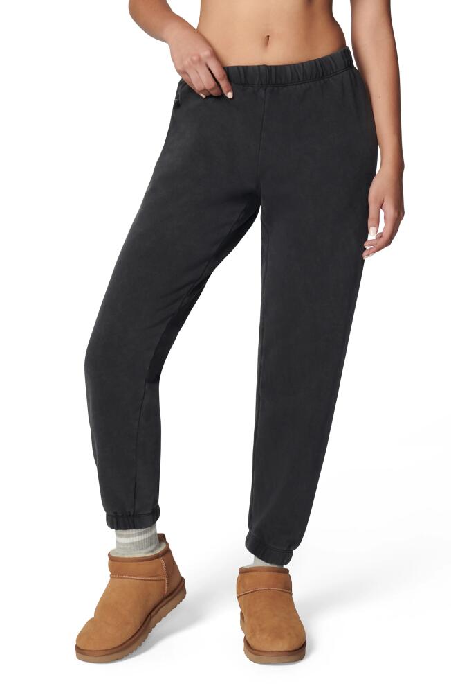 Florence by Mills Cotton Blend Joggers in Washed Black Cover