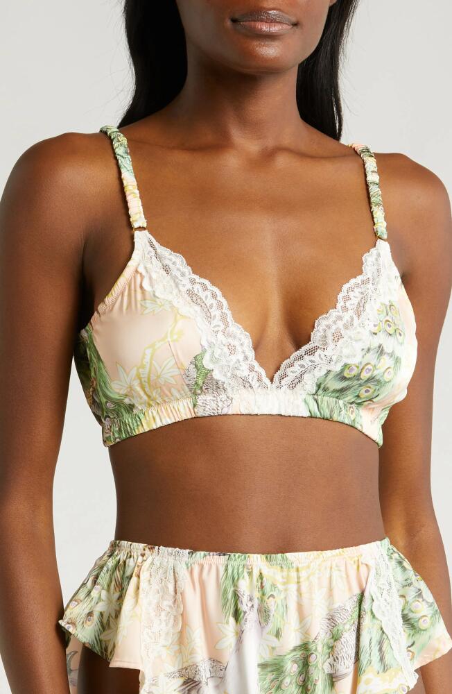 KILO BRAVA Lace Trim Triangle Bralette in Poised Peacock Cover