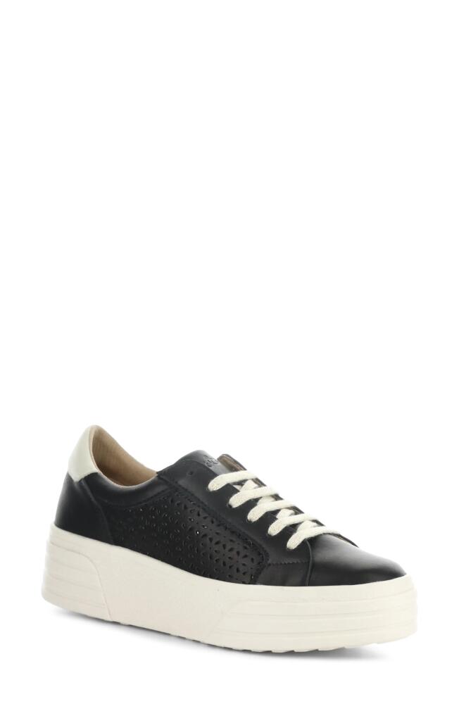 Bos. & Co. Lotta Platform Sneaker in Black/Pearl Veronica Cover