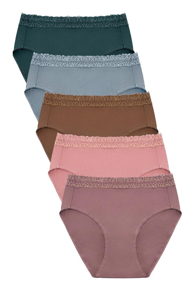 Kindred Bravely Assorted 5-Pack Lace Trim High Waist Postpartum Briefs in Dusty Hues Cover