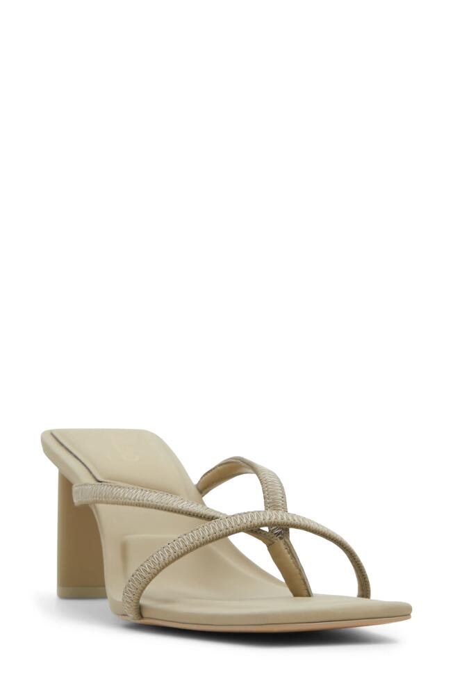 ALDO Sanne Slide Sandal in Khaki Cover