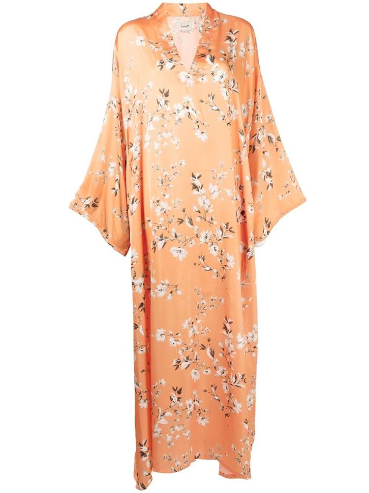 Bambah Josephine floral-print maxi dress - Orange Cover