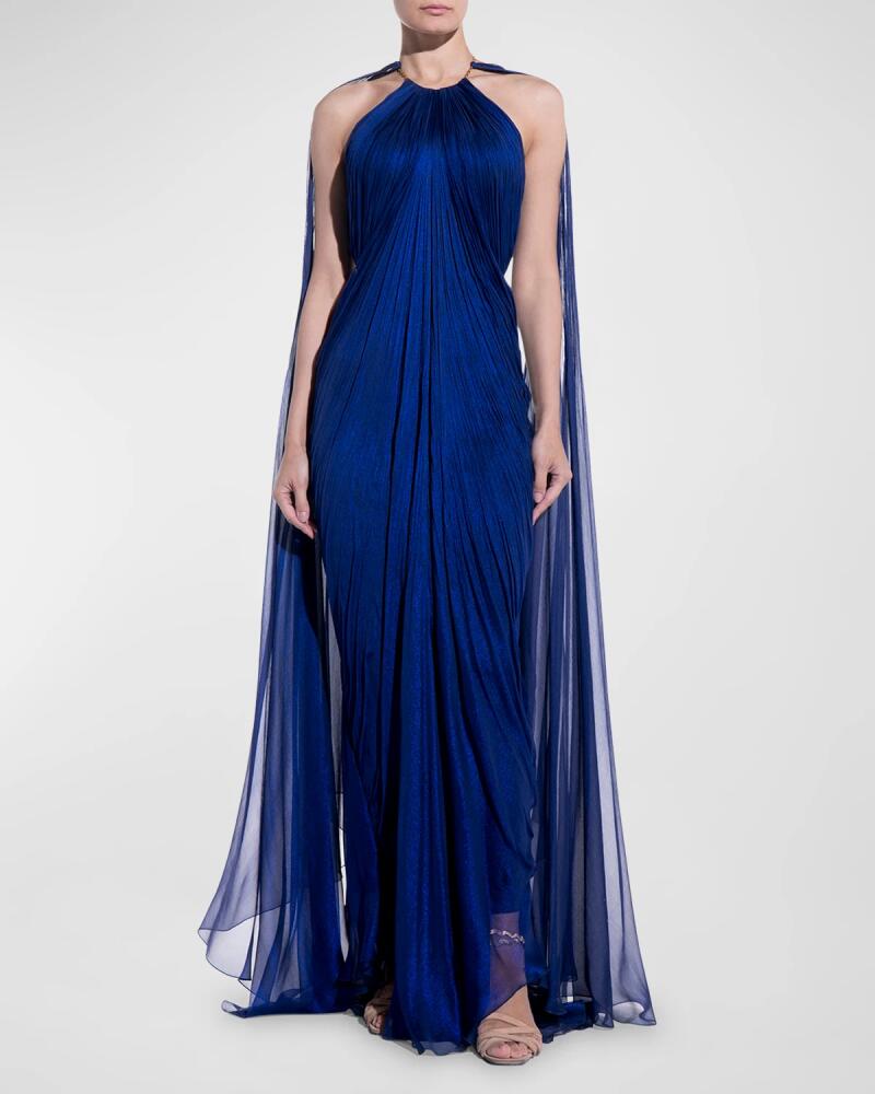 Maria Lucia Hohan Larisa Pleated Chiffon Gown Cover