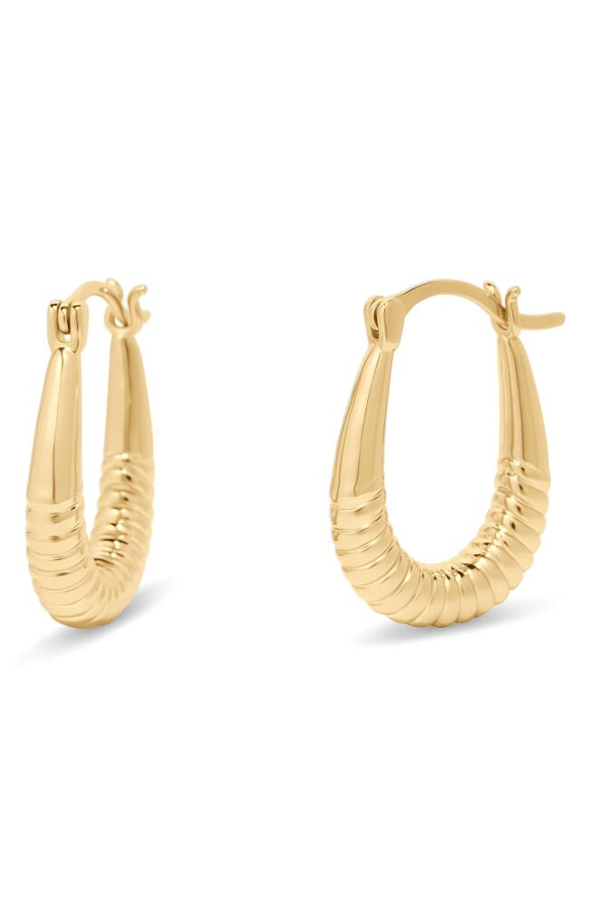 Brook and York Rory Textured Hoop Earrings in Gold Cover