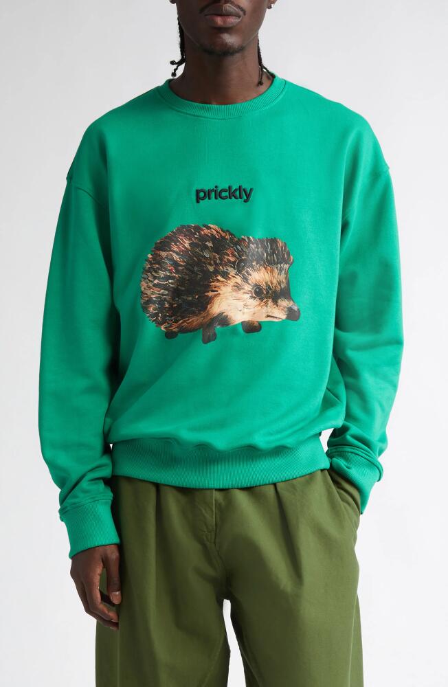 JW Anderson Hedgehog Embroidered Organic Cotton Graphic Sweatshirt in Jade Cover