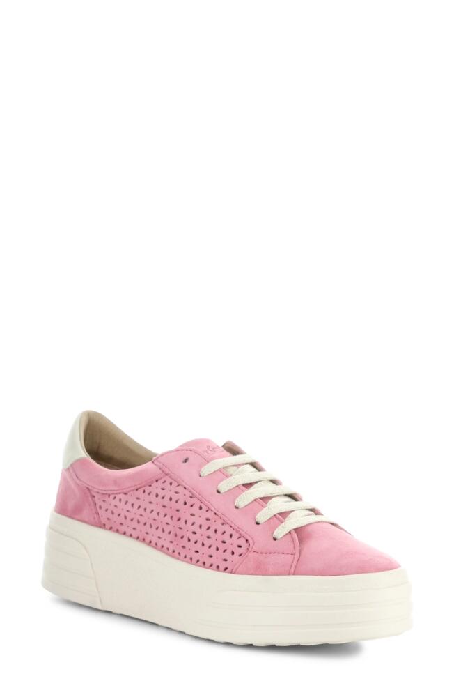 Bos. & Co. Lotta Platform Sneaker in Pink Rose/Marfil Cover