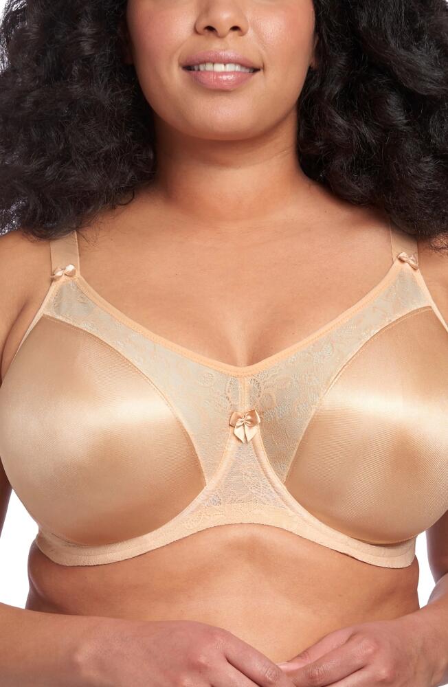 Goddess Yvette Full Figure Molded Underwire Bra in Sand Cover