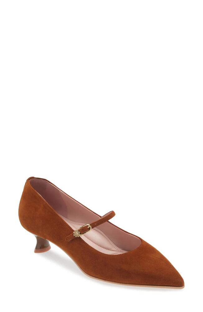 Naot Rosalie Pointed Toe Pump in Brown Suede Cover