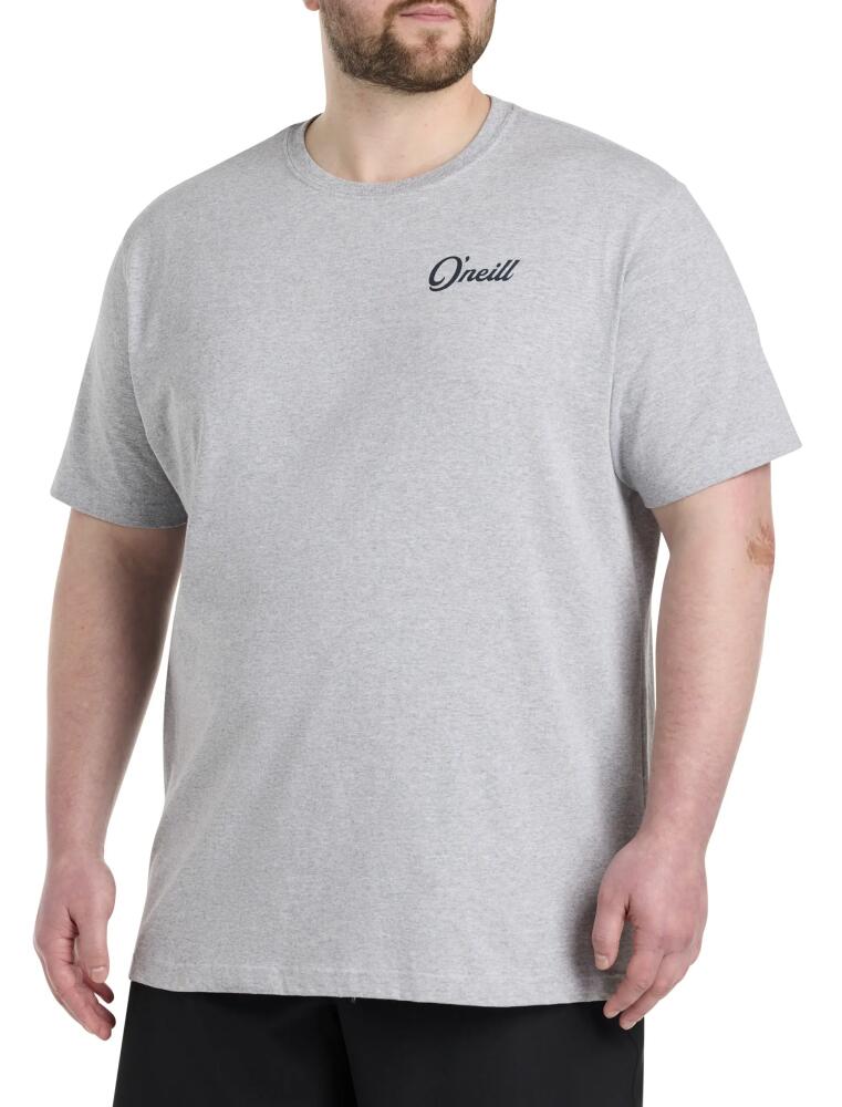 O'Neill Combo Graphic Tee in Grey Cover