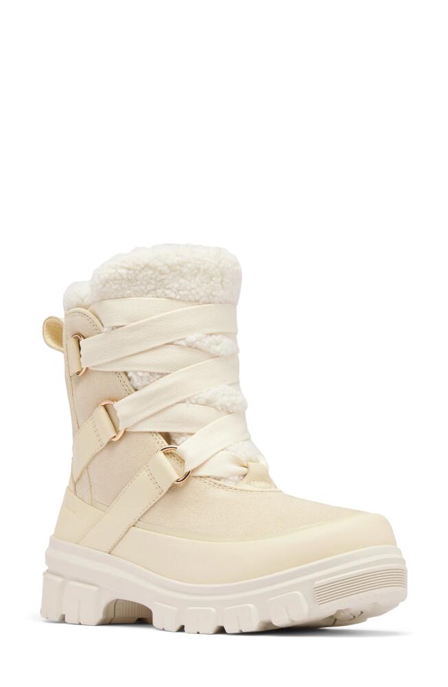 SOREL Tivoli V Faux Shearling Waterproof Boot in Honey White/Chalk Cover