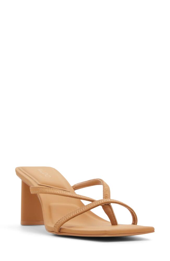 ALDO Sanne Slide Sandal in Dark Beige Cover