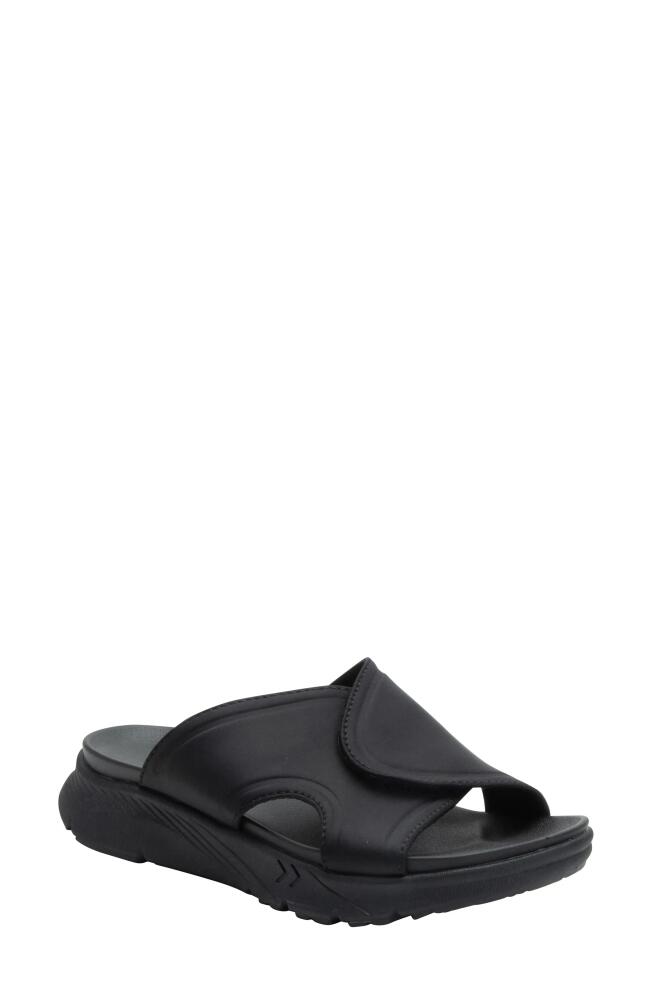 Alegria by PG Lite Sunie Slide Sandal in Black Cover