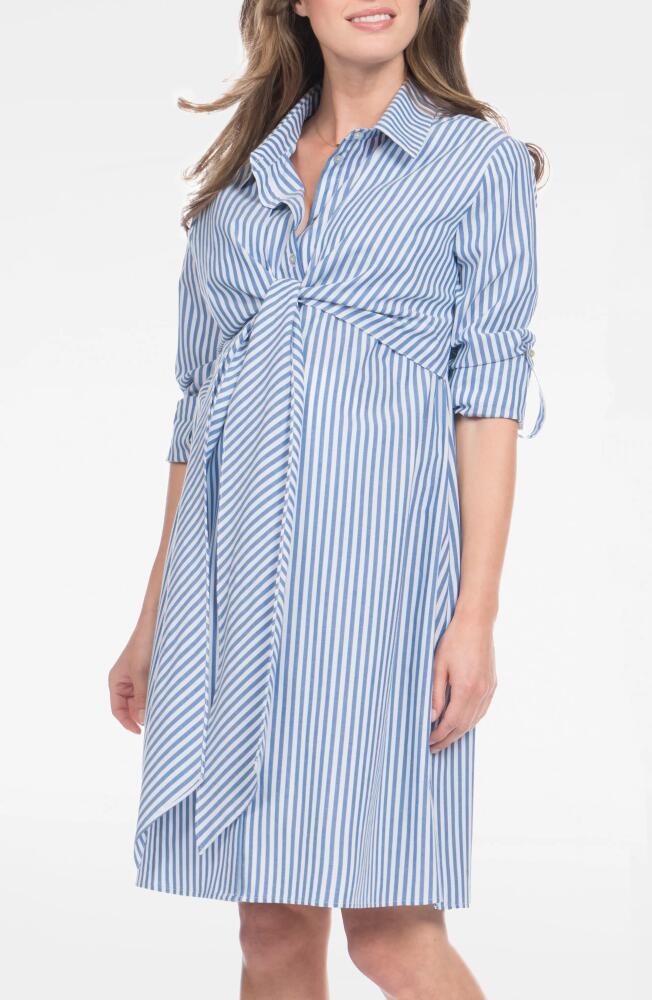 Seraphine Stripe Long Sleeve Maternity/Nursing Shirtdress in Blue Stripe Cover