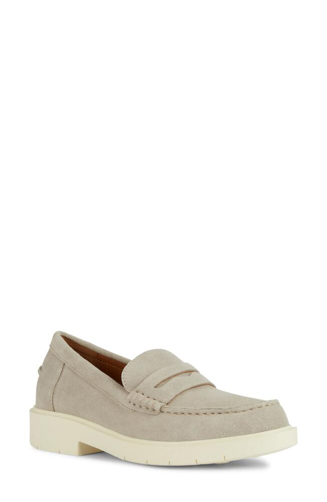 Geox Spherica Penny Loafer in Light Grey Cover