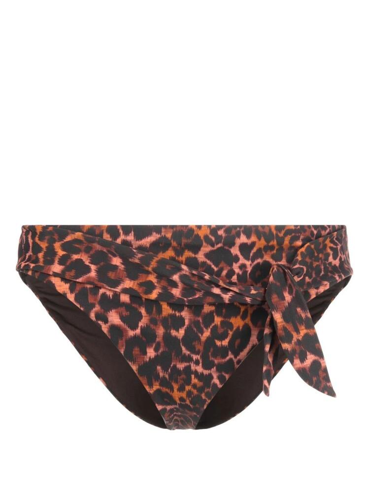 Marlies Dekkers Jungle diva bikini bottoms - Brown Cover