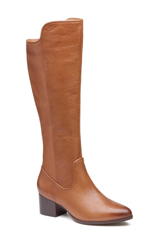 Johnston & Murphy Trista Riding Boot in Cognac Calfskin Cover