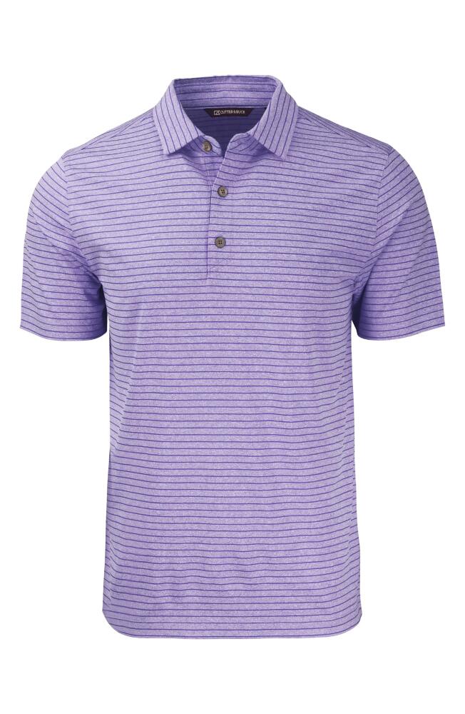 Cutter & Buck Forge Recycled Polyester Polo in College Purple Heather Cover