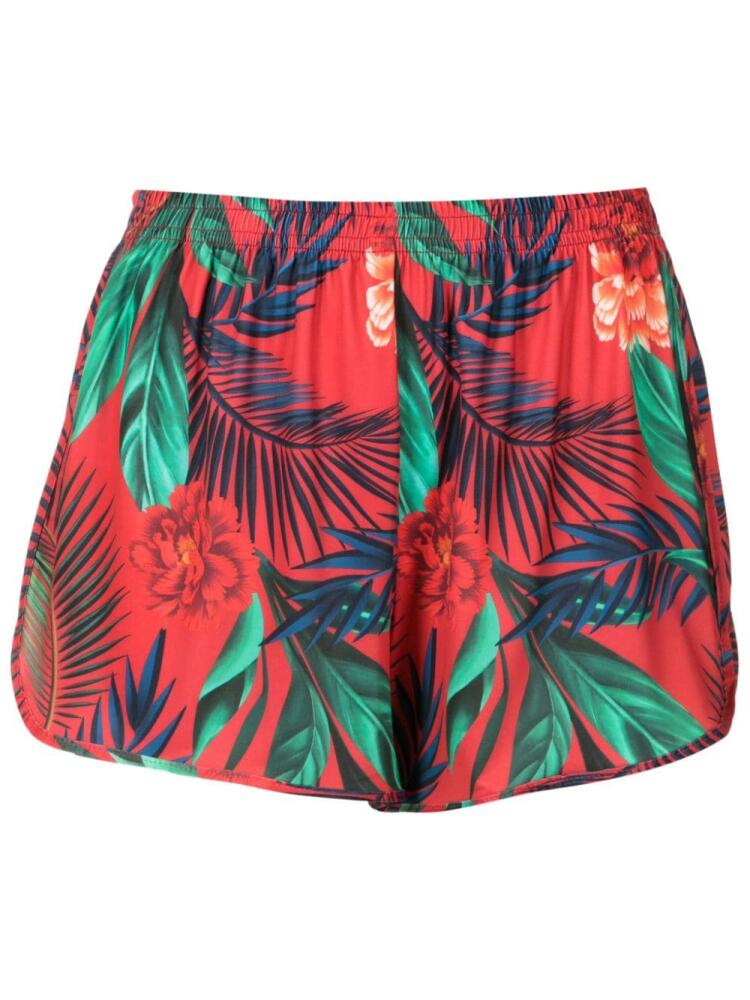 Lygia & Nanny Lee botanical-print mini shorts - Red Cover