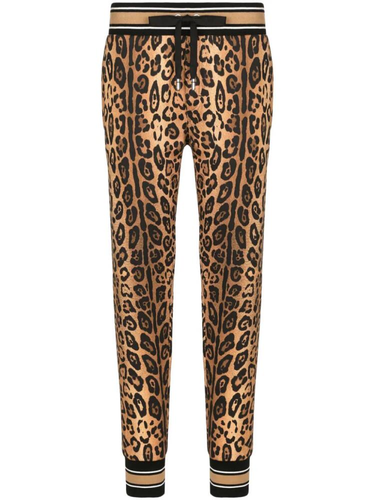 Dolce & Gabbana leopard-print cotton track pants - Brown Cover