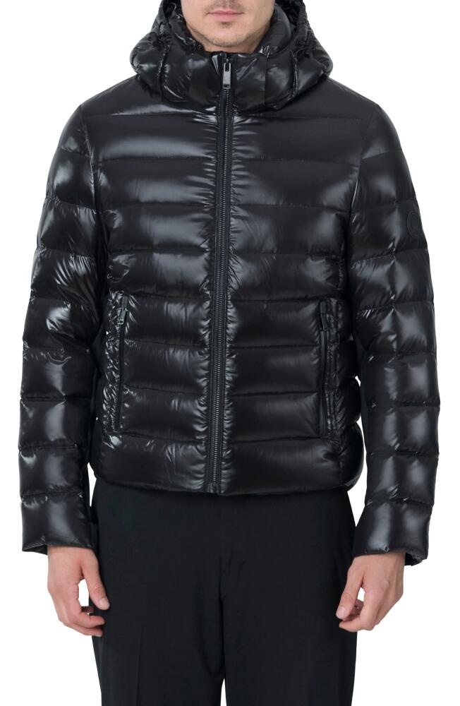 The Recycled Planet Company Scutar Windproof & Water Repellent Recycled Down Puffer Jacket in Black Cover