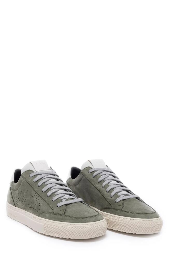 P448 Soho Sneaker in Army/White Cover