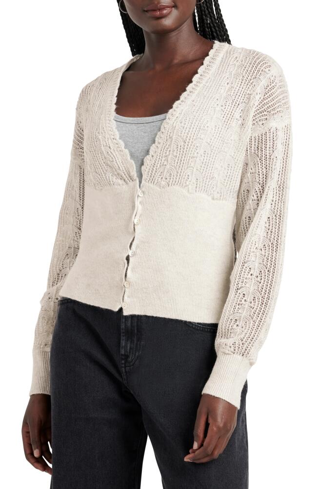 Splendid Lola Openwork V-Neck Cardigan in Pale Oak Heather Cover