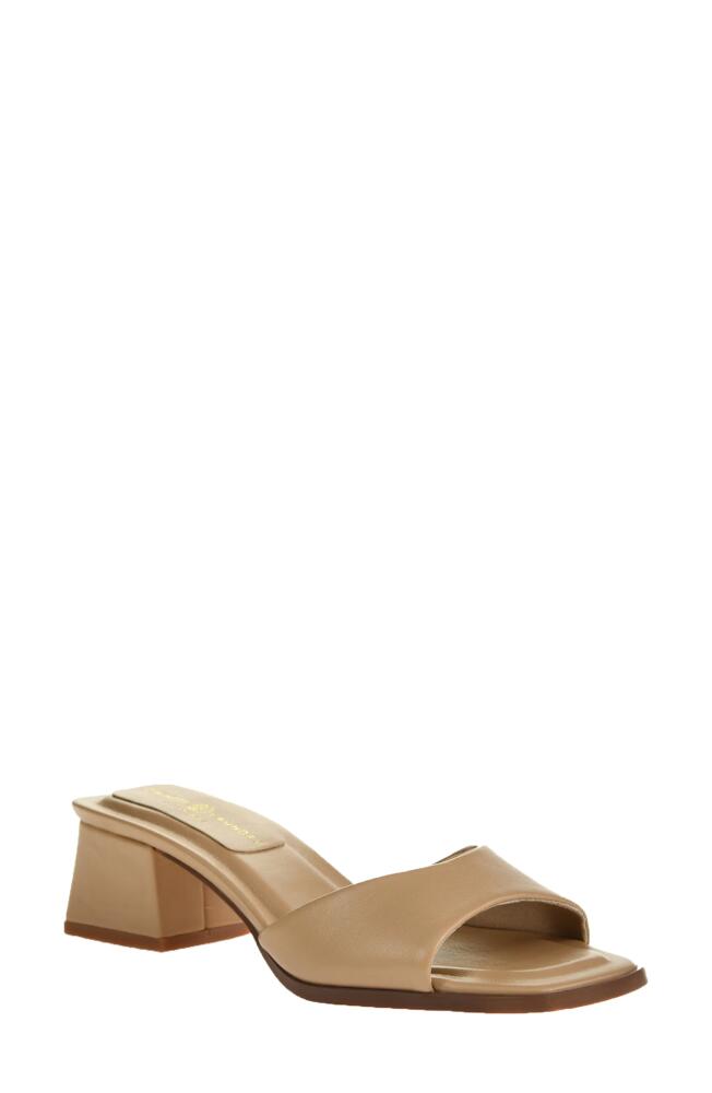 Chinese Laundry Liinda Slide Sandal in Beige Cover