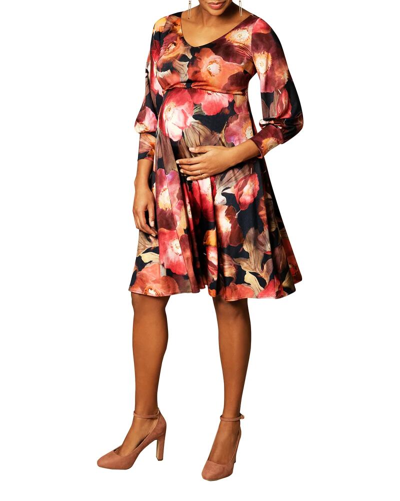 Tiffany Rose Maternity Pixie Watercolor Floral V-Neck Dress Cover