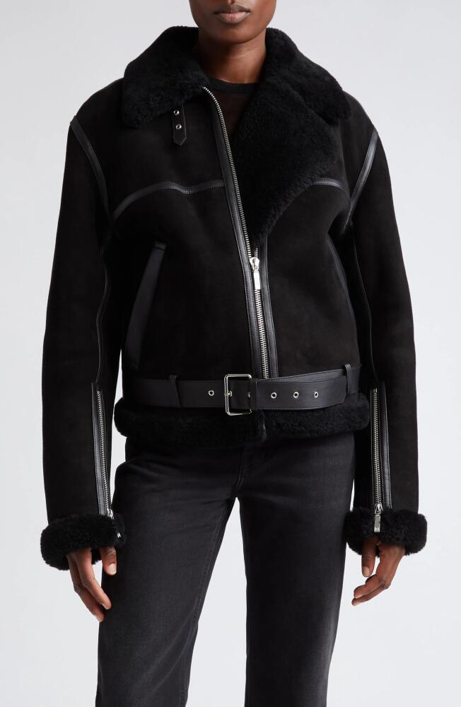 TOTEME Genuine Shearling Aviator Jacket in Black Cover