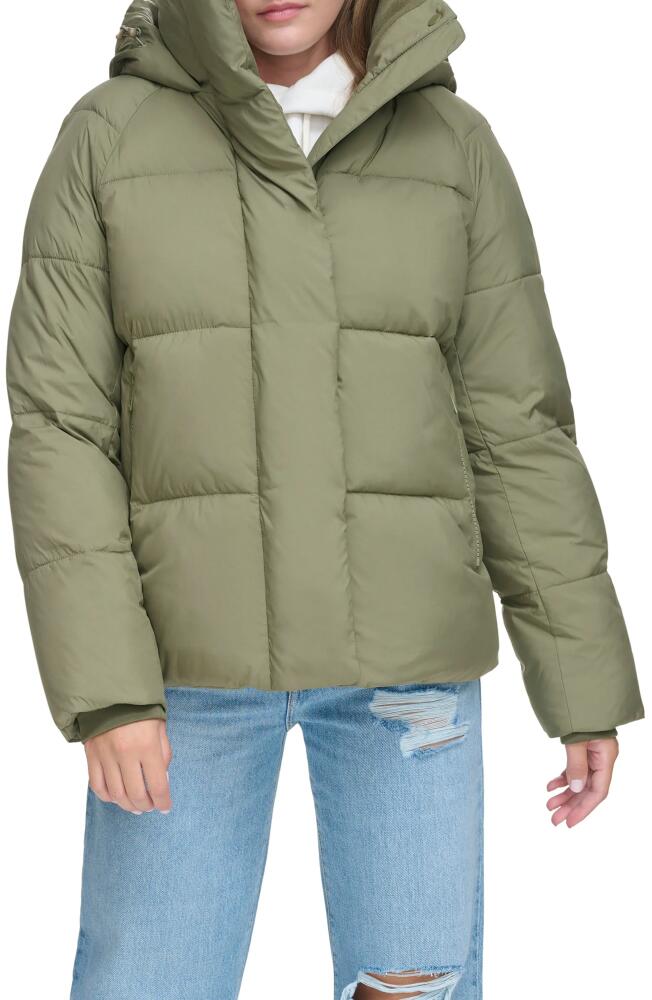 levi's Hooded Puffer Jacket in Lichen Green Cover