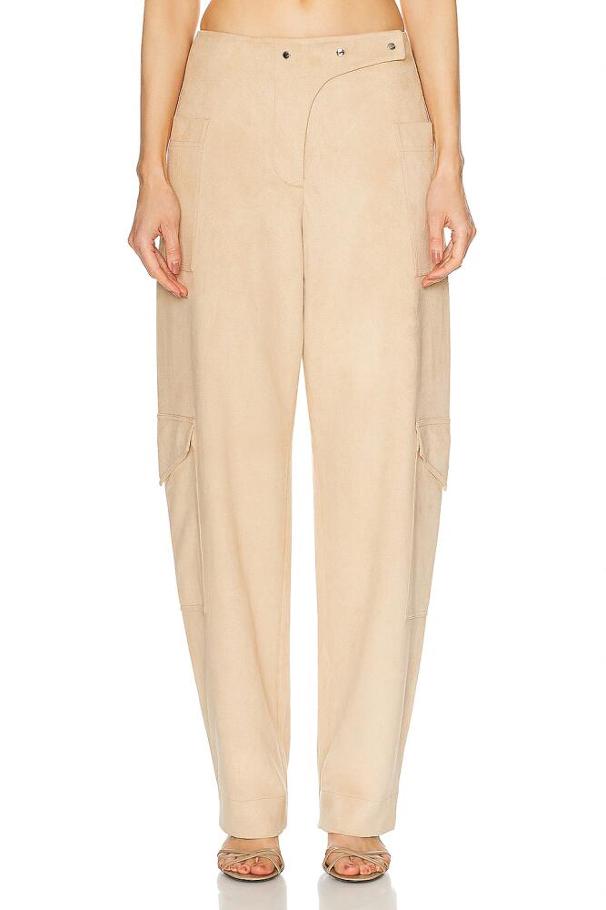 Alexis Emilion Pant in Tan Cover