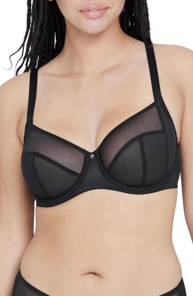 Skarlett Blue Spellbound Underwire Full Coverage Bra in Black Cover