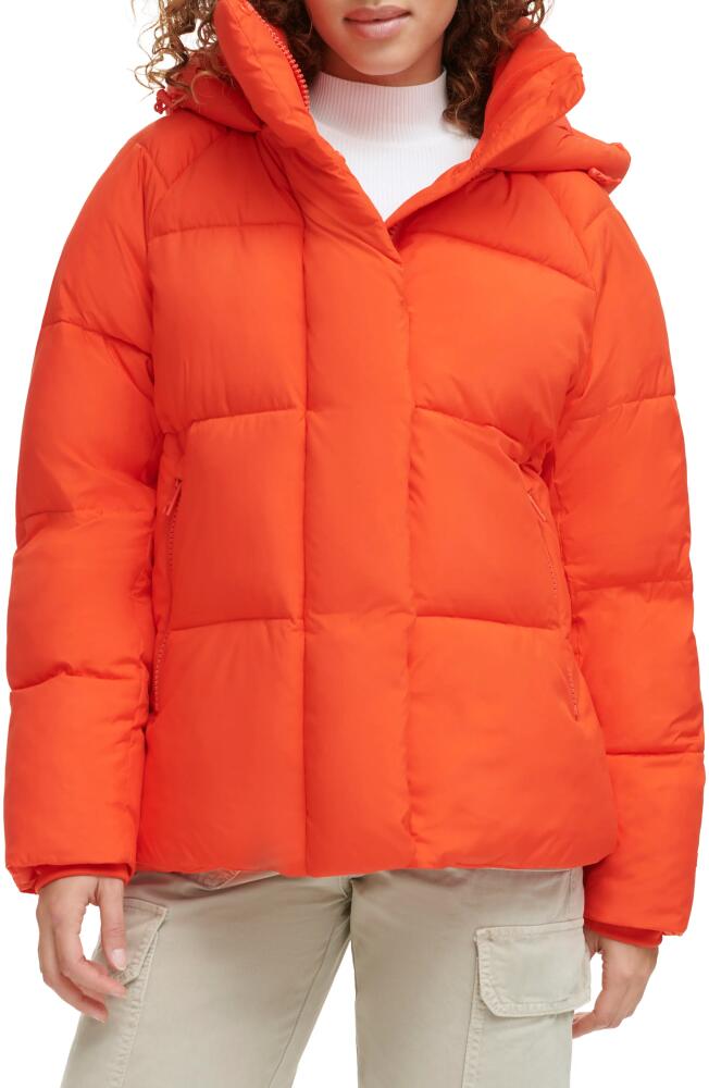 levi's Hooded Puffer Jacket in Orange Cover