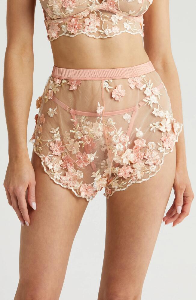 KILO BRAVA Embroidered Mesh Tap Shorts in Peachy Pink Cover