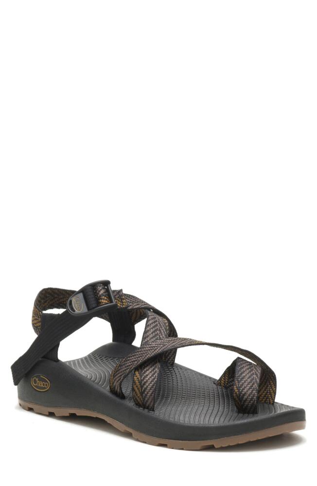 Chaco Z1 Classic Sandal in Bracken Bronze Cover