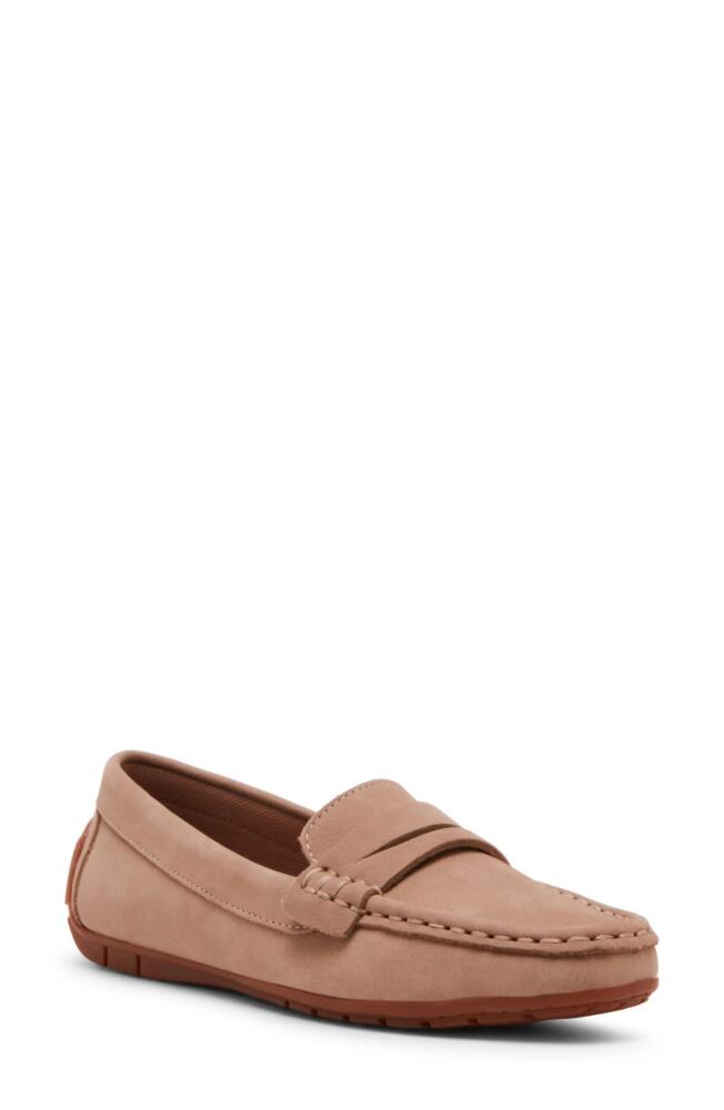 Blondo Shellby Waterproof Driving Loafer in Sandnubuck Cover