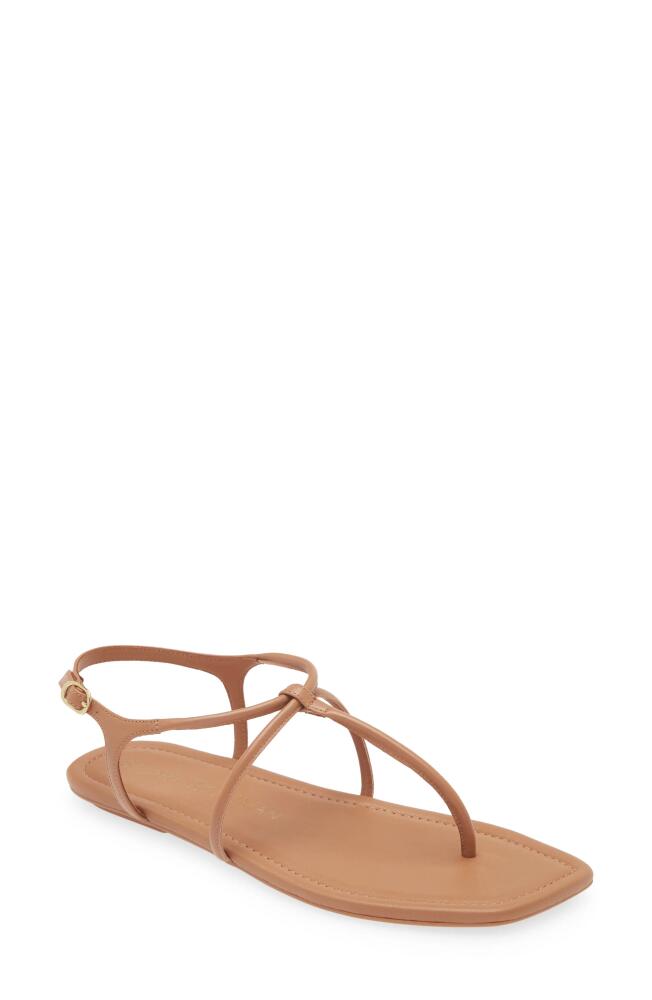 Stuart Weitzman Matilda Sandal in Tan Cover