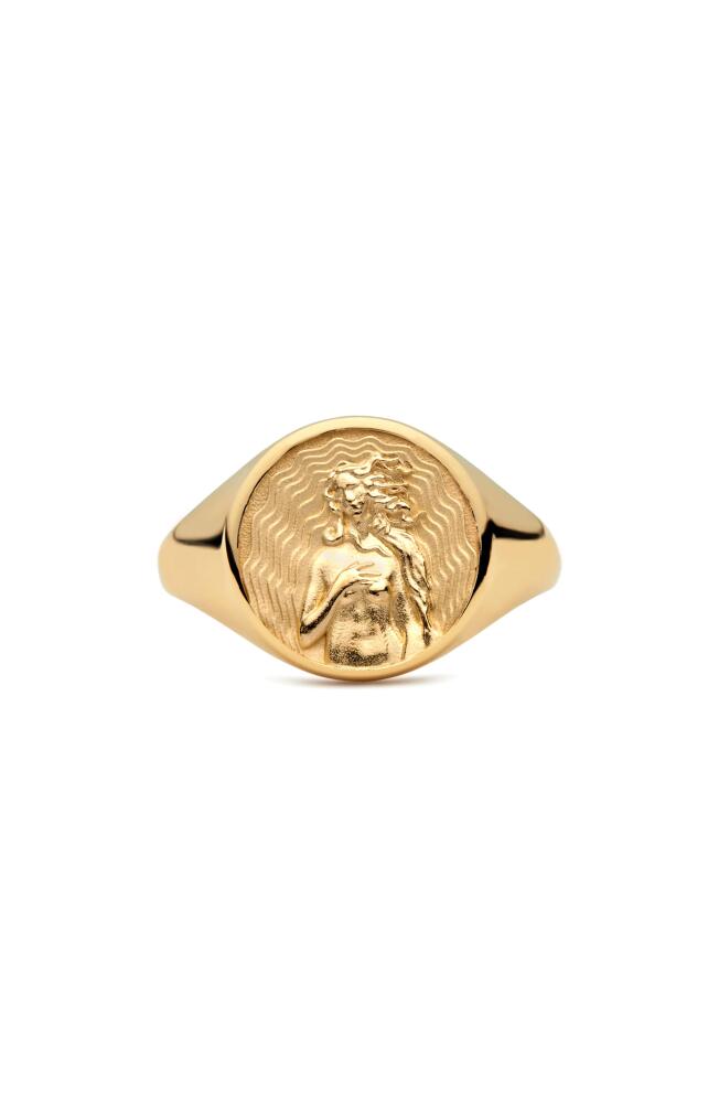 Awe Inspired Aphrodite Signet Ring in Gold Vermeil Cover