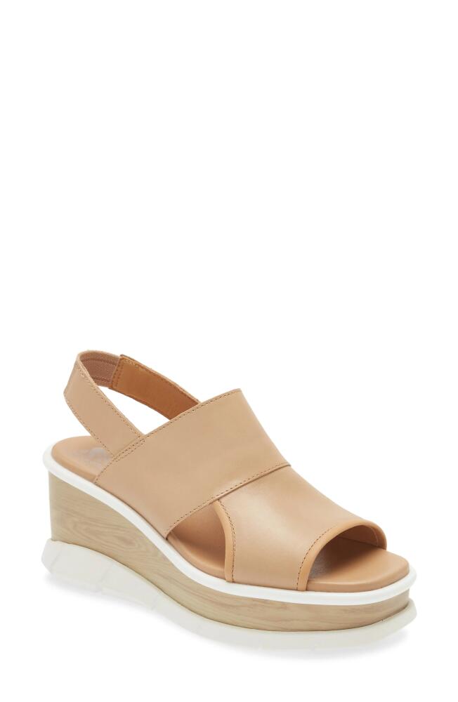 SOREL Joanie III Slingback Wedge Sandal in Honest Beige White Cover