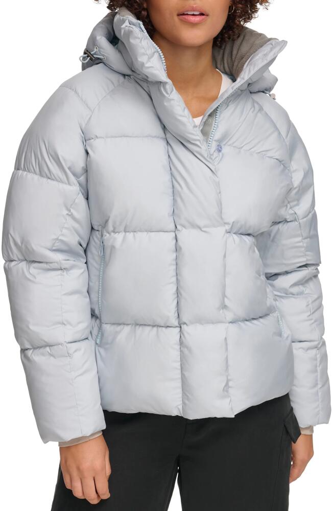 levi's Hooded Puffer Jacket in Pale Blue Cover