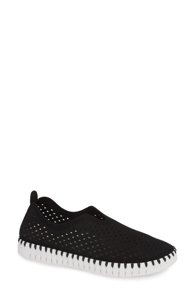 Ilse Jacobsen Tulip 139 Perforated Slip-On Sneaker in Black Fabric Cover